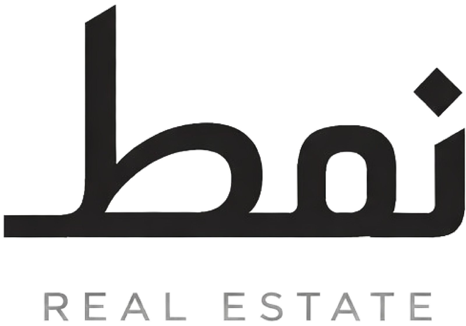 NMT Real Estate logo